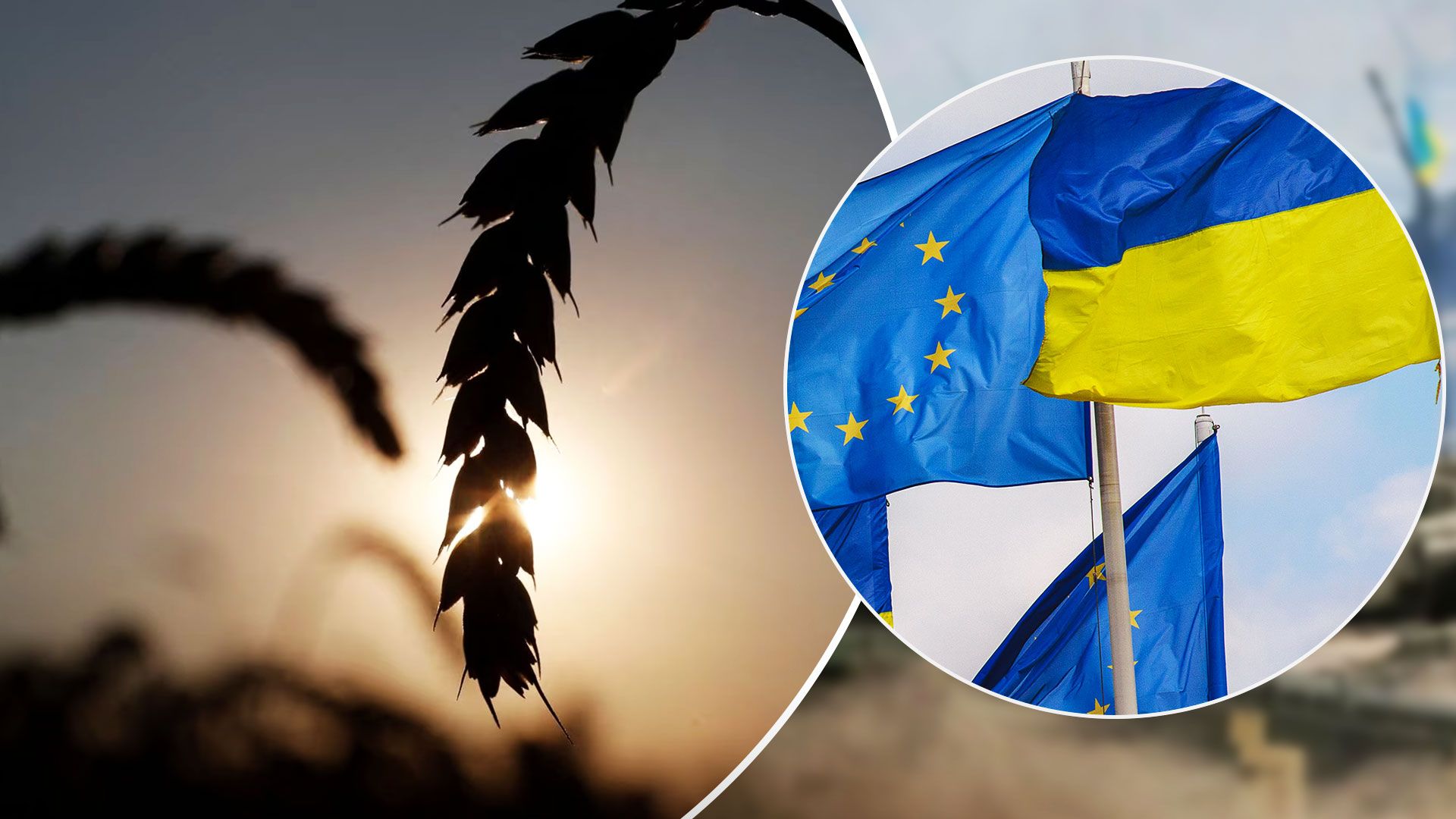 УЗА просить Єврокомісію створити «зелені коридори» для українського зерна