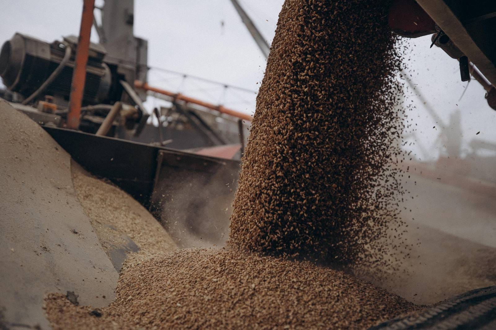 Україна незабаром зможе наростити експорт зерна до 4,5 млн. тонн на місяць, але необхідно субсидувати логістику – УЗА