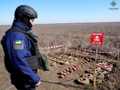 Мінекономіки запрошує до обговорення технічних вимог до надання послуг з розмінування