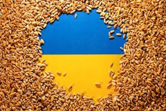 ЄС поки не має коштів для забезпечення транзиту зерна з України суходолом, – ЗМІ