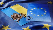 Польща закриє кордон для українських продуктів після 15 вересня - міністр
