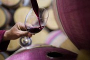 Парламент розглянув законопроекти про підтримку виноробів