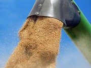 Польща готова самостійно ввести односторонню заборону на імпорт українського зерна після 15 вересня