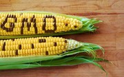 Парламент ухвалив Закон про посилення контролю за продукцією з ГМО