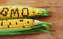 Парламент ухвалив Закон про посилення контролю за продукцією з ГМО