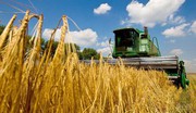 В Україні намолочено майже 29 млн тонн нового врожаю