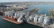 Румунія збільшує потужності порту Констанца для вивезення українського зерна