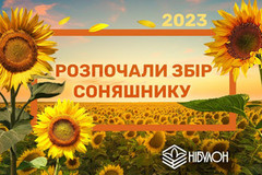 У НІБУЛОНі розпочали збір соняшнику нового врожаю