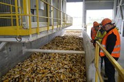 Bayer розпочала будівництво заводу Monsanto з виробництва насіння кукурудзи на Житомирщині
