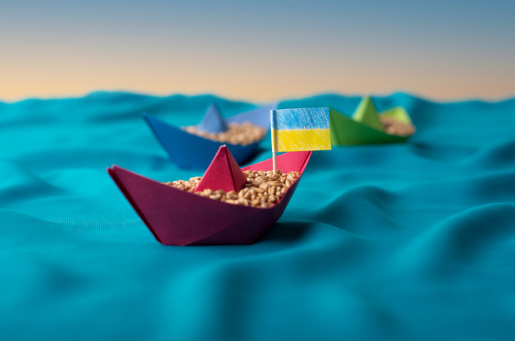 Україна прагне збільшити експорт агропродукції через Дунай