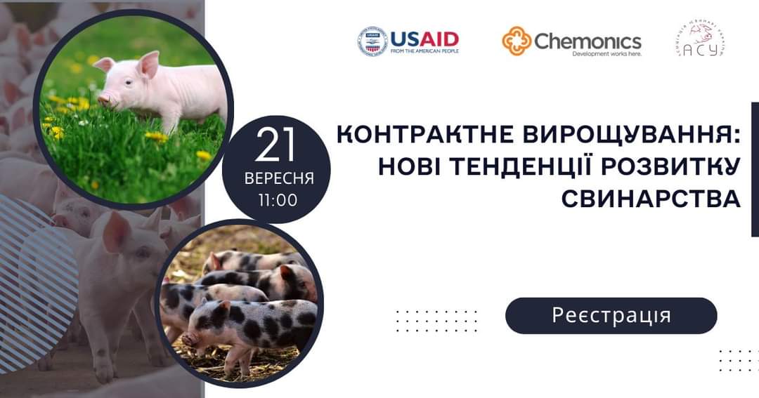 Про модель контракного вирощування свиней: досвід США та України під час онлайн-вебінару