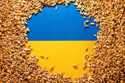 Україна подала у СОТ на 3 країни та може обмежити імпорт із Польщі й Угорщини