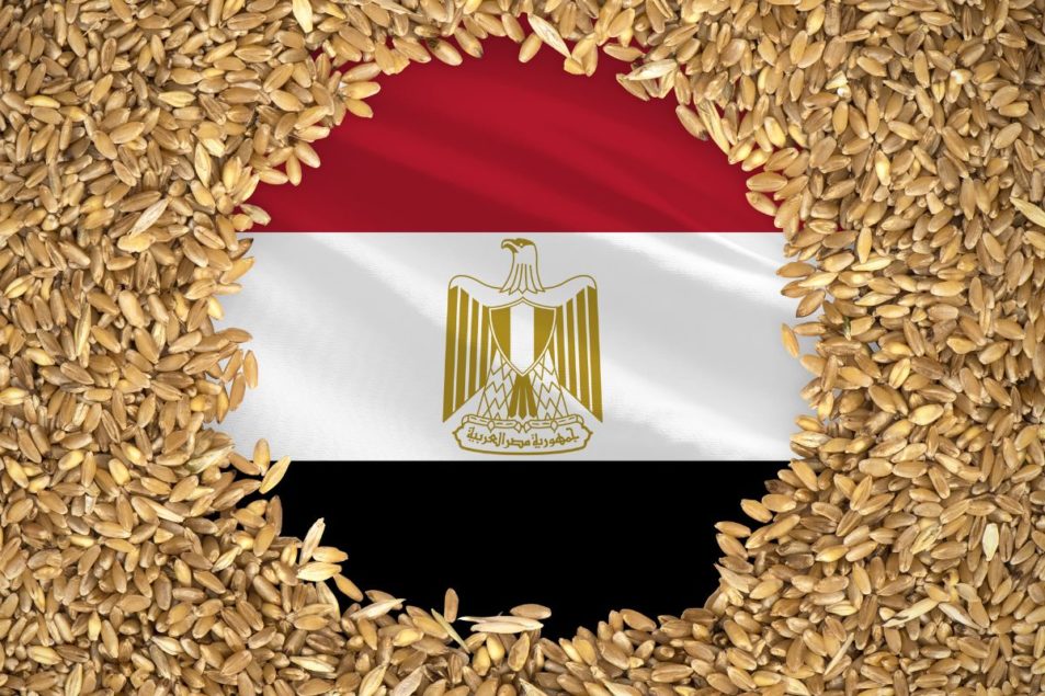 Bloomberg дізнався про відмову Єгипту від російської пшениці