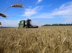 Ембарго на зерно: фахівець розповів, чому сусіди України не виконують рішення ЄК