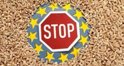 «Війна ембарго» на українську сільгосппродукцію розгоряється через вибори в країнах ЄС — експерти