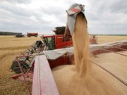 Румунія офіційно затвердила умови імпорту українського зерна