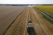 Україна запроваджує жорсткі перевірки для трейдерів зерна - Bloomberg