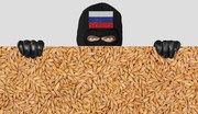 У 2023/24 МР росія збільшила поставки зерна до ЄС більш ніж удвічі