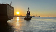 Робота портів у Чорному морі забезпечить наступного року до 8% додаткового ВВП – Кубраков