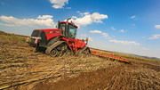 Урожай пшениці в Болгарії у 2023 році зріс на 6%, проте її якість гірша за минулорічну