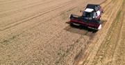 Менше пшениці, більше нішевих культур: як блокада експорту змінює український агросектор і чого чекати у новому році