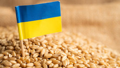 За підсумками 10 місяців 2023 року Україна поки утримує третє місце з постачання агропродукції до ЄС
