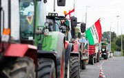 Угорські фермери протестуватимуть біля кордону з Україною проти імпорту зерна