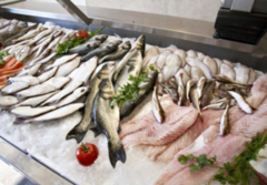 Ринок Кувейту відкрито для експорту риби та рибних продуктів з України
