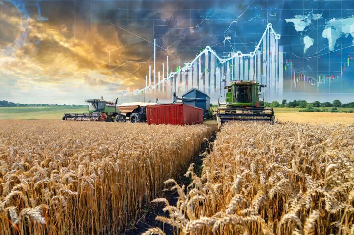 У січні значення Індексу продовольчих цін ФАО знову скоротилося головним чином внаслідок зниження цін на пшеницю та кукурудзу