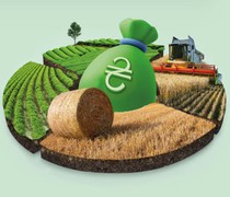 ПриватБанк збільшує обсяги кредитування аграріїв на посівну 2024