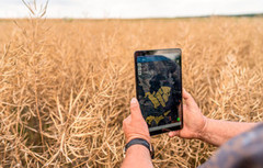 Українські агрохолдинги випередили бум ШІ та вже роками мають власні цифрові розробки - Forbes