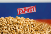 Чехія запропонує ЄС заборонити імпорт російського та білоруського зерна