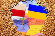 Український експорт суттєво не впливає на зменшення цін на зерно у Польщі - IPF