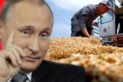 ЄС запровадить мита на імпорт російського зерна — ЗМІ