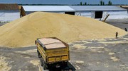 Литва посилила контроль за імпортом російського зерна