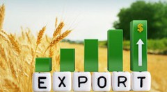 Можливості для аграрних переробних підприємств, орієнтованих на експорт