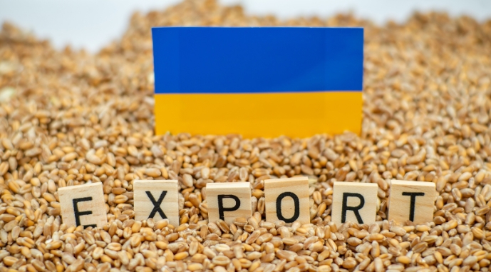 Польське міністерство передумало забороняти транзит українського зерна