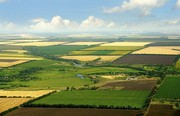 Обсяги земельних торгів в Україні зменшуються другий місяць поспіль