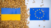 У Німеччині та Франції прокоментували компроміс про експорт української агропродукції до ЄС