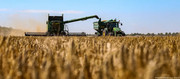 У ЄС погодили обмеження на імпорт агропродукції з України