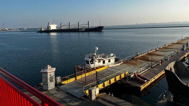 Ставки фрахту на перевезення зерна з портів Дунаю та Одеси знизилися
