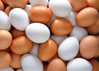 Експорт яєць з України збільшився в І кварталі 2024 року