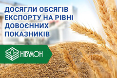 «НІБУЛОН» демонструє рекордні показники з експорту за період війни