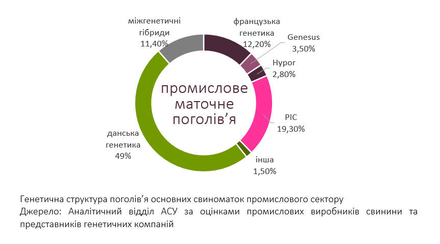 Генетична структура маточного поголів’я в Україні: 2024
