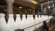 Молочний сектор – найбільш підготовлений до євроінтеграції