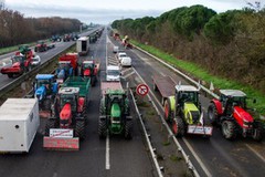 Протести фермерів на українсько-польському кордоні - частина європейського руху напередодні виборів до Європарламенту - Мінагрополітики