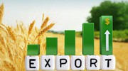 Тарас Висоцький: Україна залишається лідером аграрного експорту. У наступному маркетинговому році він становитиме понад 60 млн т
