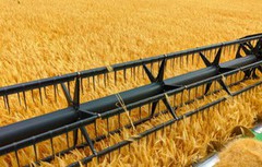 В Україні зібрали понад 100 тис. т зерна