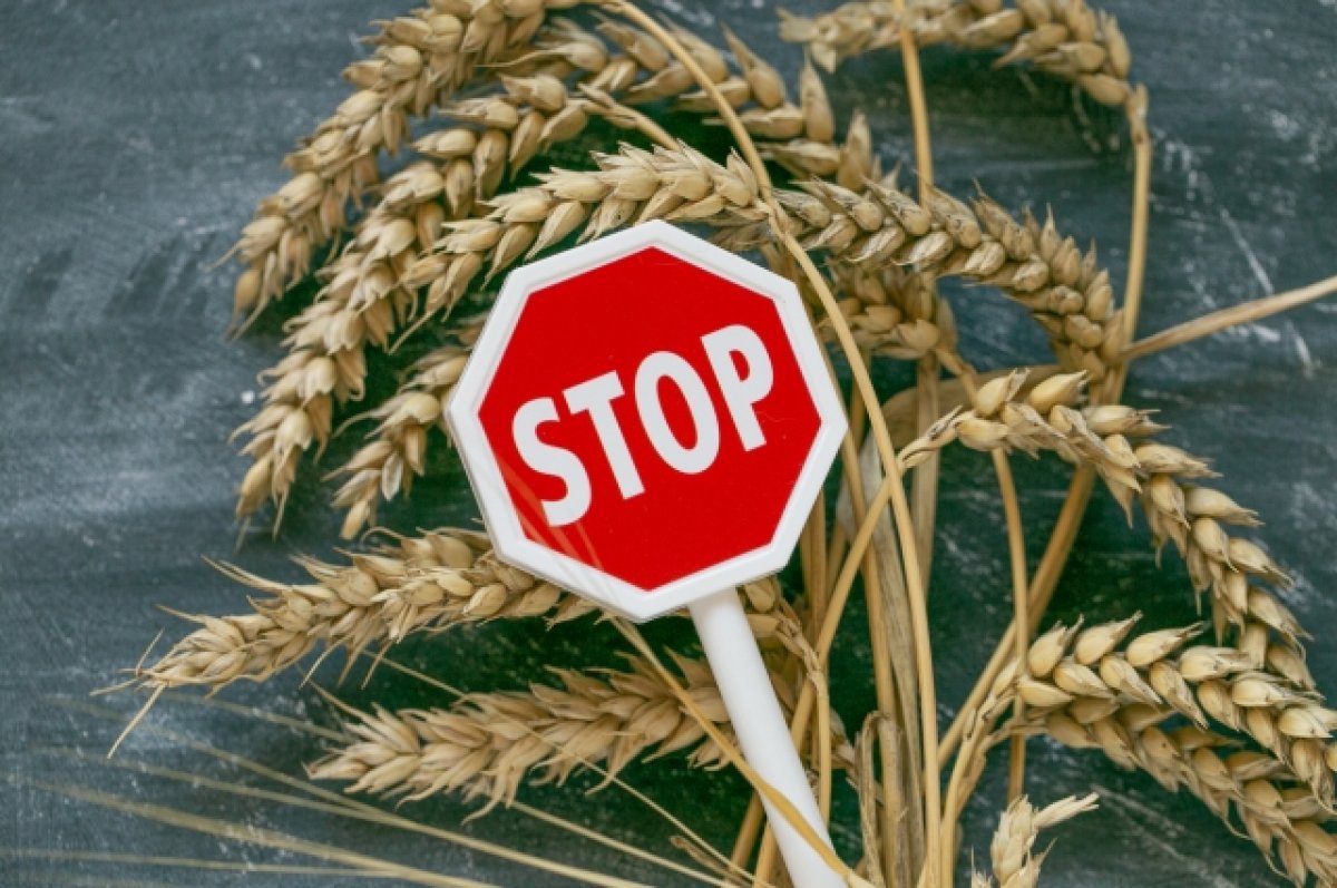 Набуло чинності рішення ЄС про заборонні мита на імпорт зерна з рф та білорусії