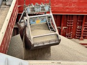 У 2023/2024 МР Україна експортувала 50,8 млн тонн зерна